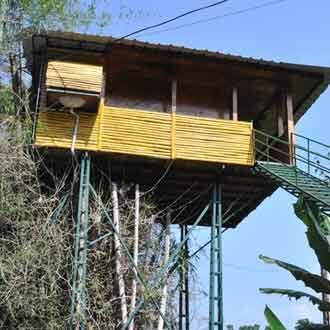 Sky Valley Resort, Munnar 2